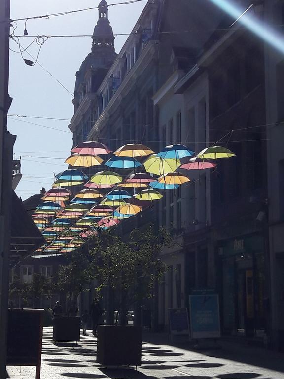 Lille Centre Ville, Beaux Arts Et Grand Palais, Bienvenue Chez Nestyou Lille Exterior photo