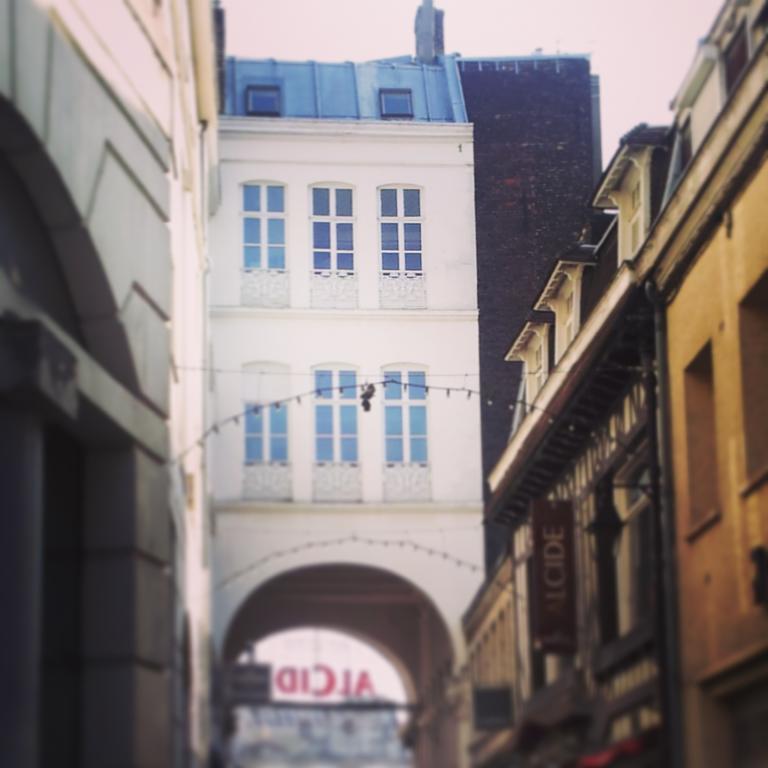 Lille Centre Ville, Beaux Arts Et Grand Palais, Bienvenue Chez Nestyou Lille Exterior photo